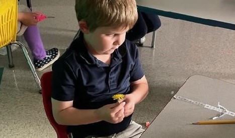 Henry and His Dandelion